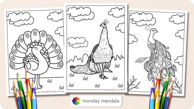 39 Peacock Coloring Pages (Free PDF Printables)
