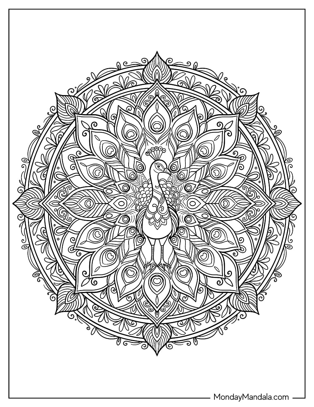 Peacock Mandala with Ornate Tail Feathers