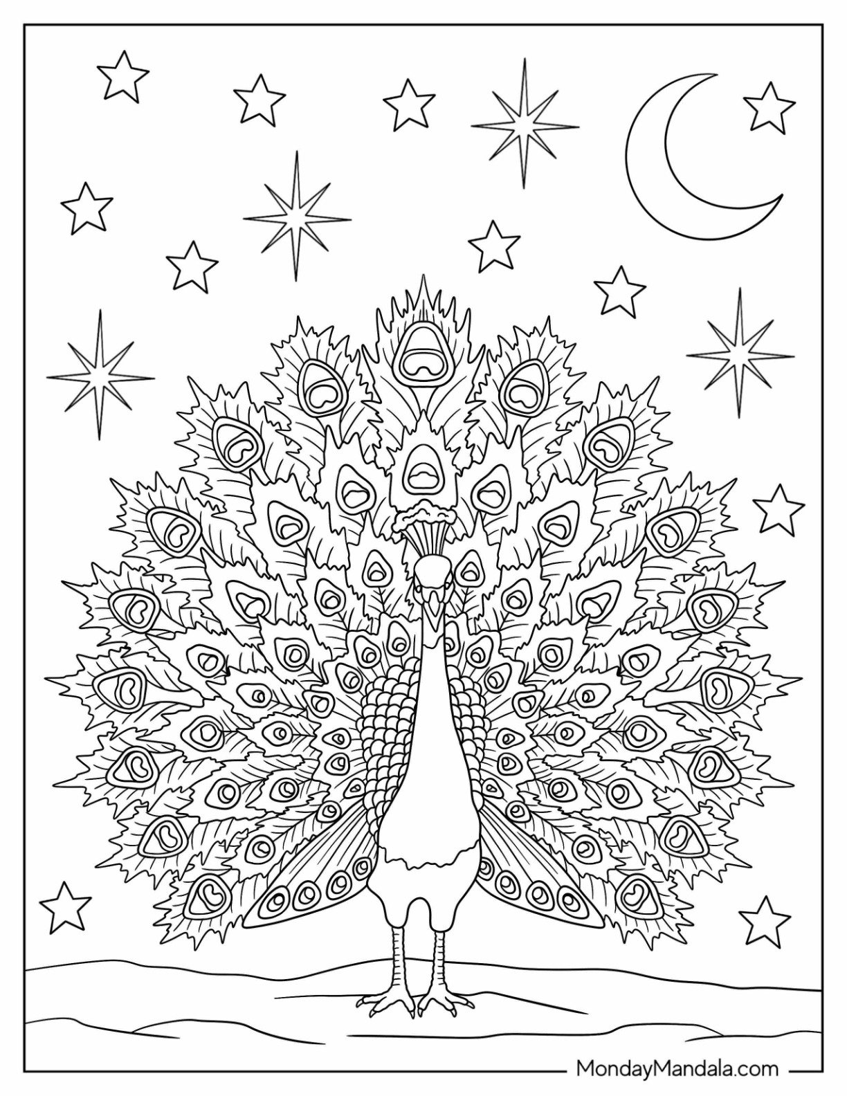 Peacock Coloring Page at Night with Crescent Moon and Stars