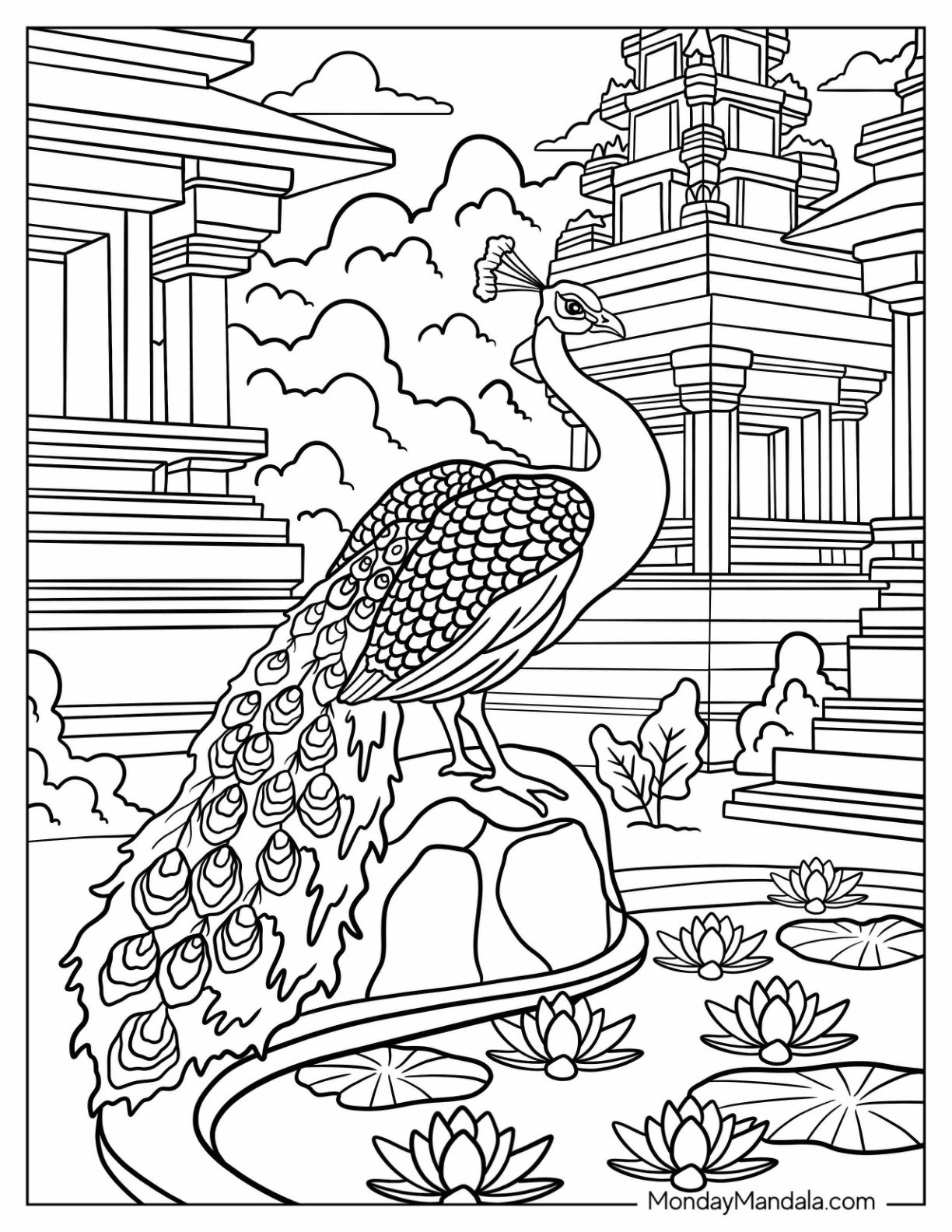 Peacock Coloring Page by Lotus Pond with Temple Background for Adults