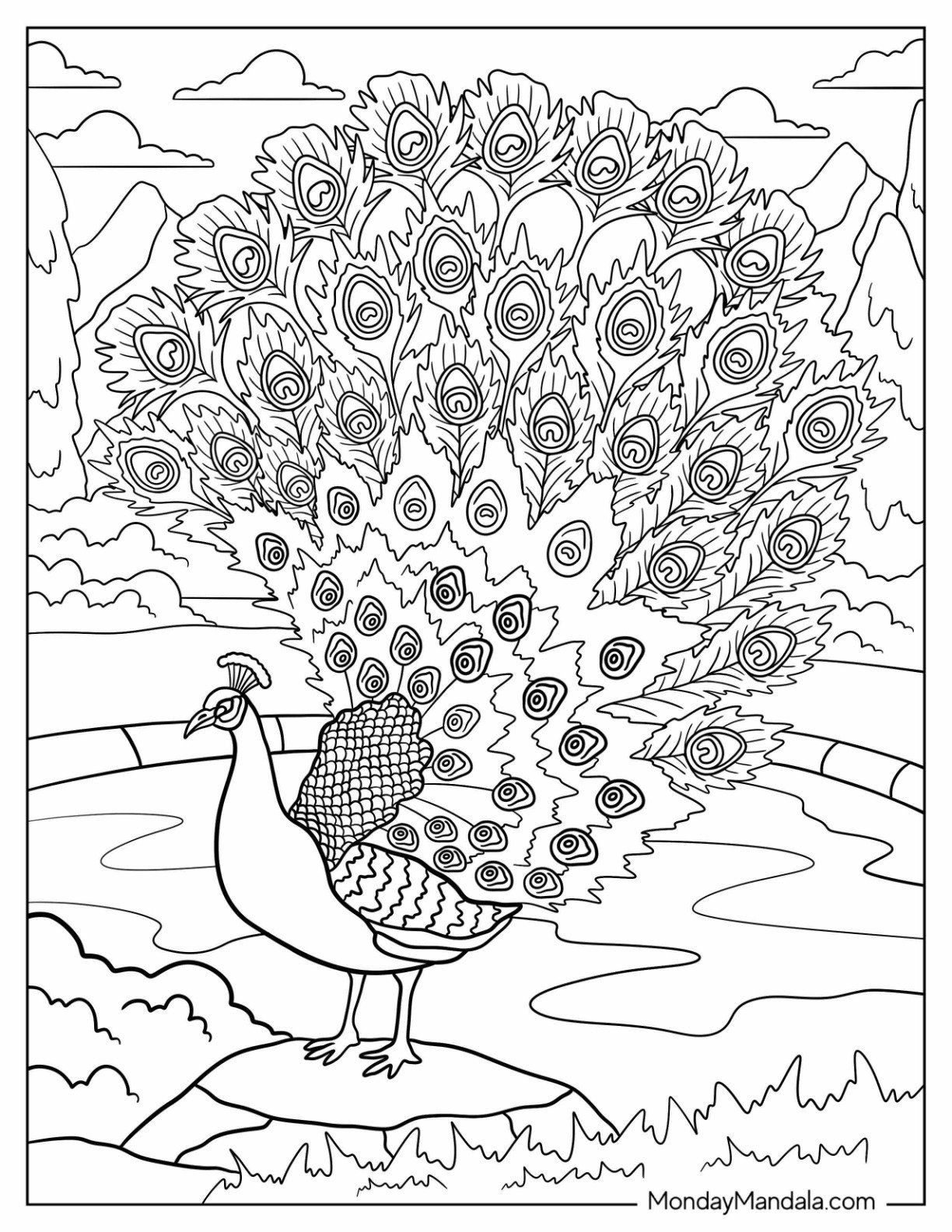 Peacock Coloring Page with Fanned Feathers by Mountain Pond