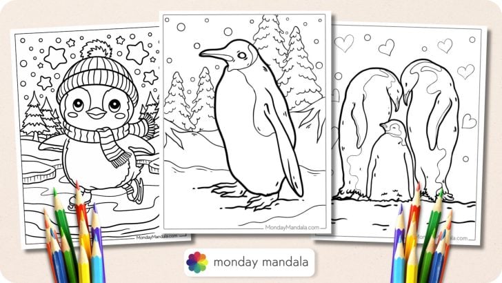 Penguin Coloring Pages Featured Image v2
