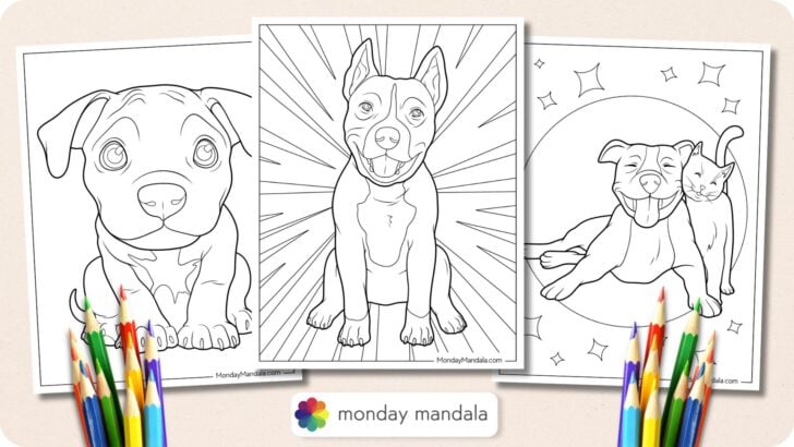 Pitbull Coloring Pages Featured Image