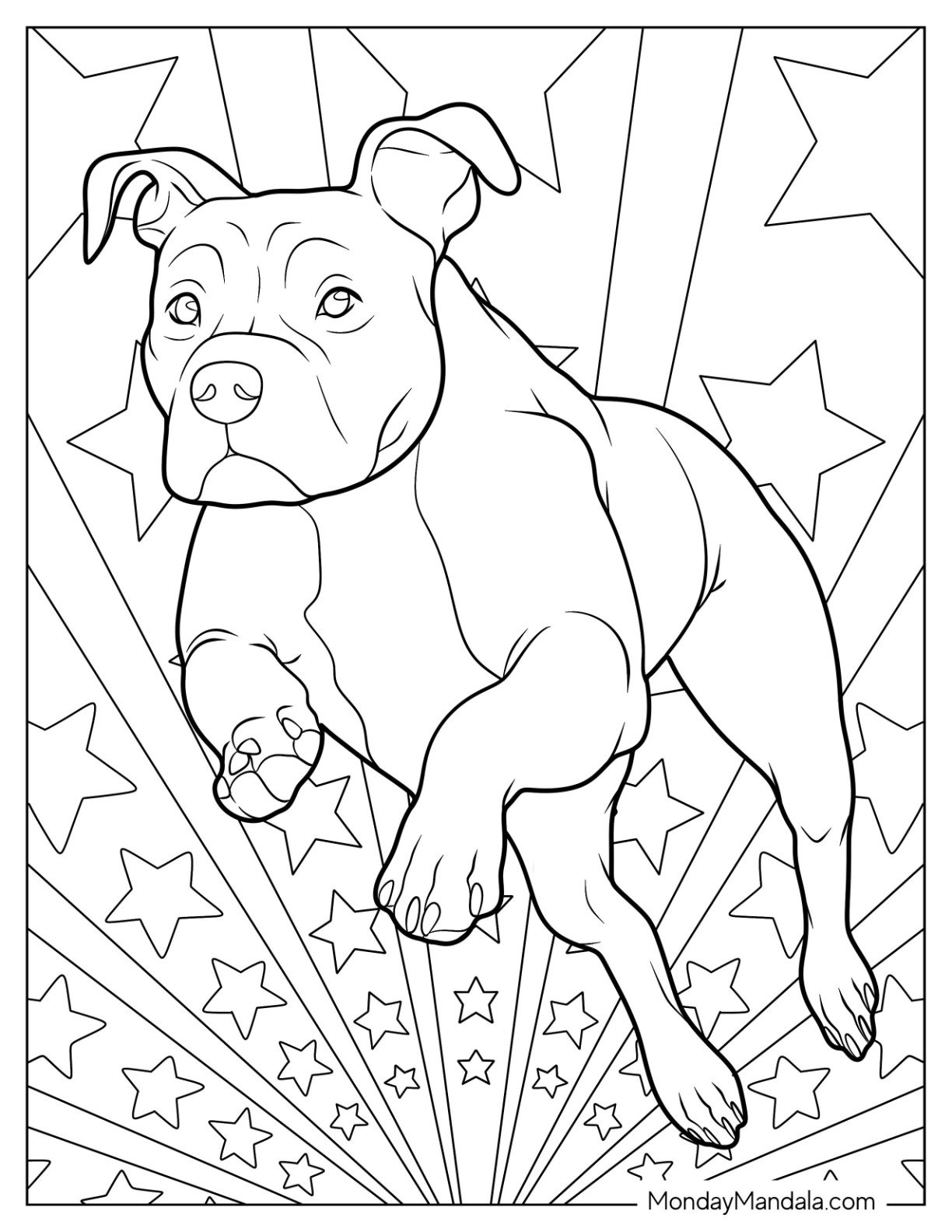 Pitbull Coloring Page Leaping