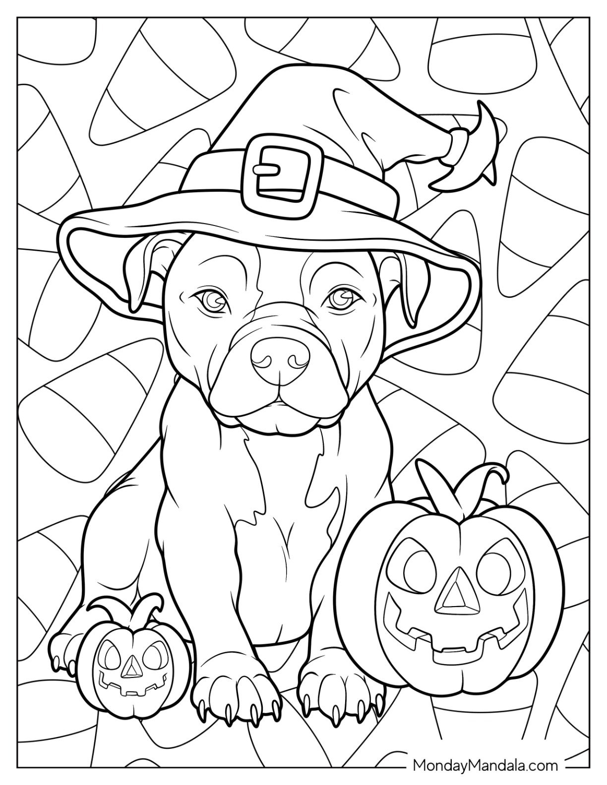 Pitbull Coloring Page Wearing A Witch s Hat