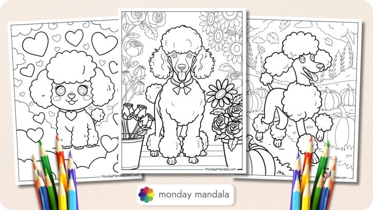 Poodle Coloring Pages Featured Image