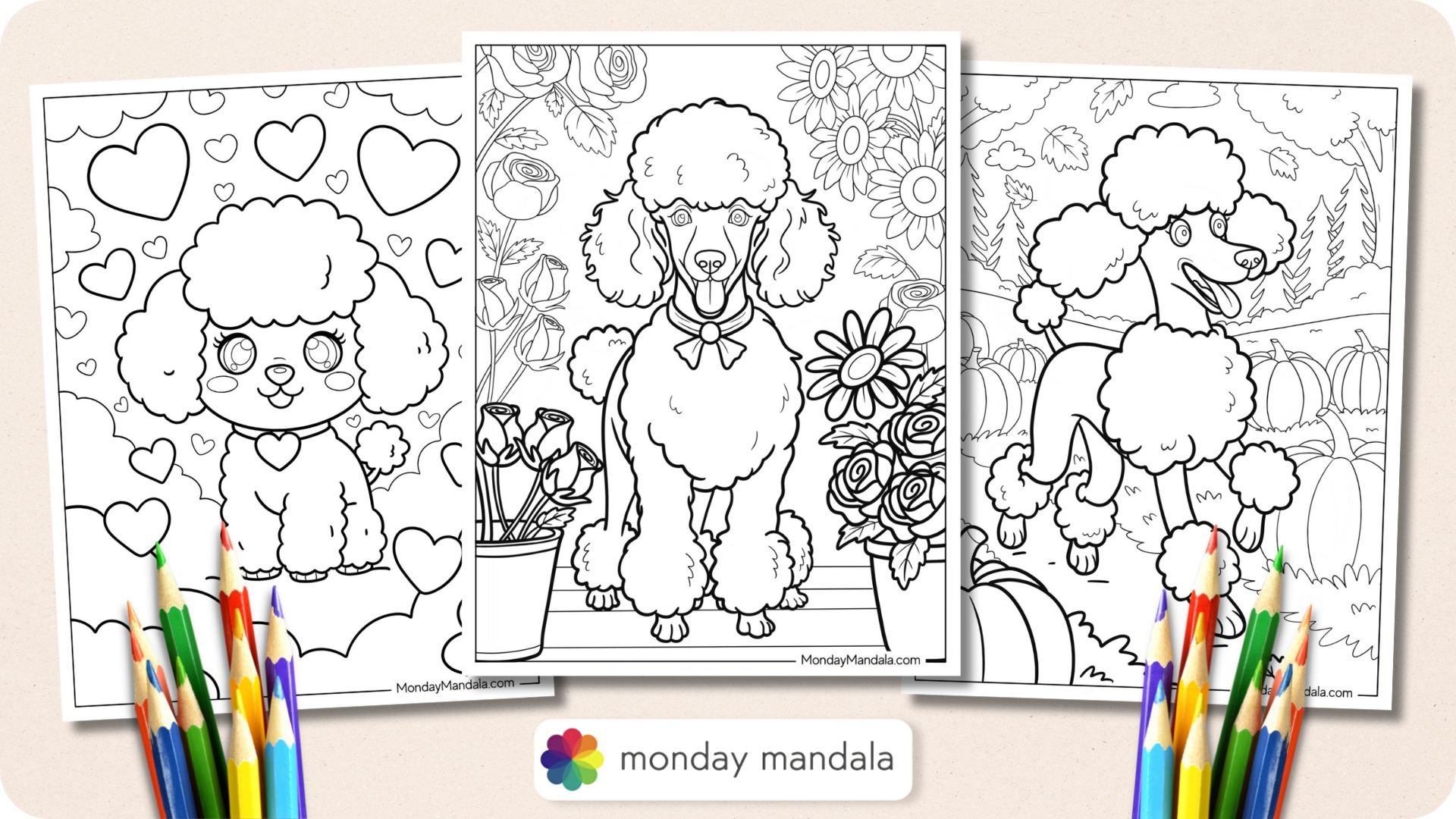 Poodle Coloring Pages Featured Image