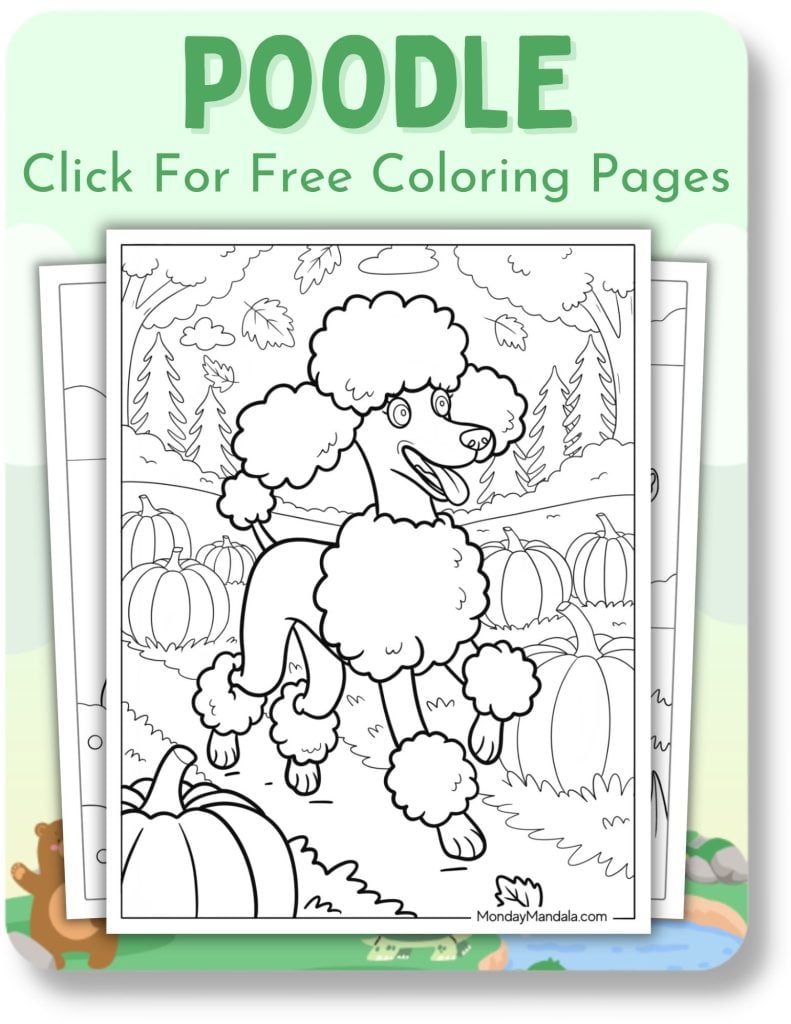 Poodle Coloring Pages for Animals