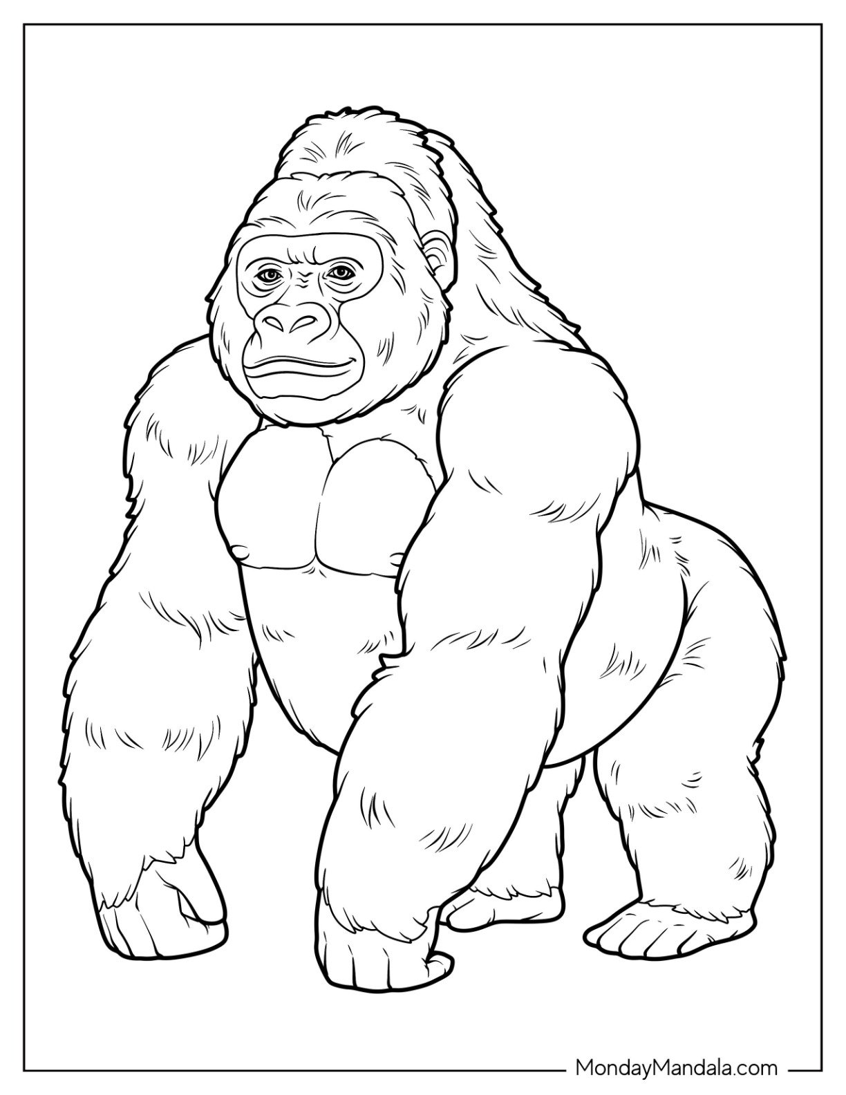 Powerful Adult Gorilla Coloring Page with Muscular Build