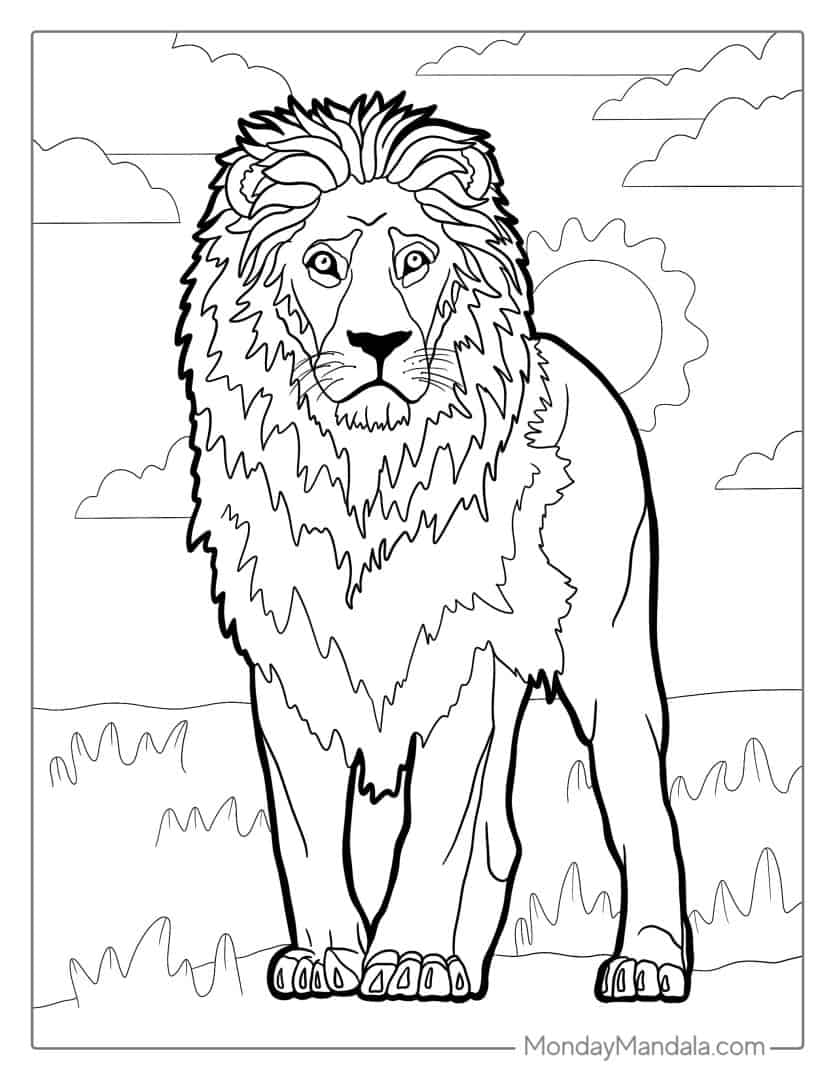 28 Lion Coloring Pages (Free PDF Printables)