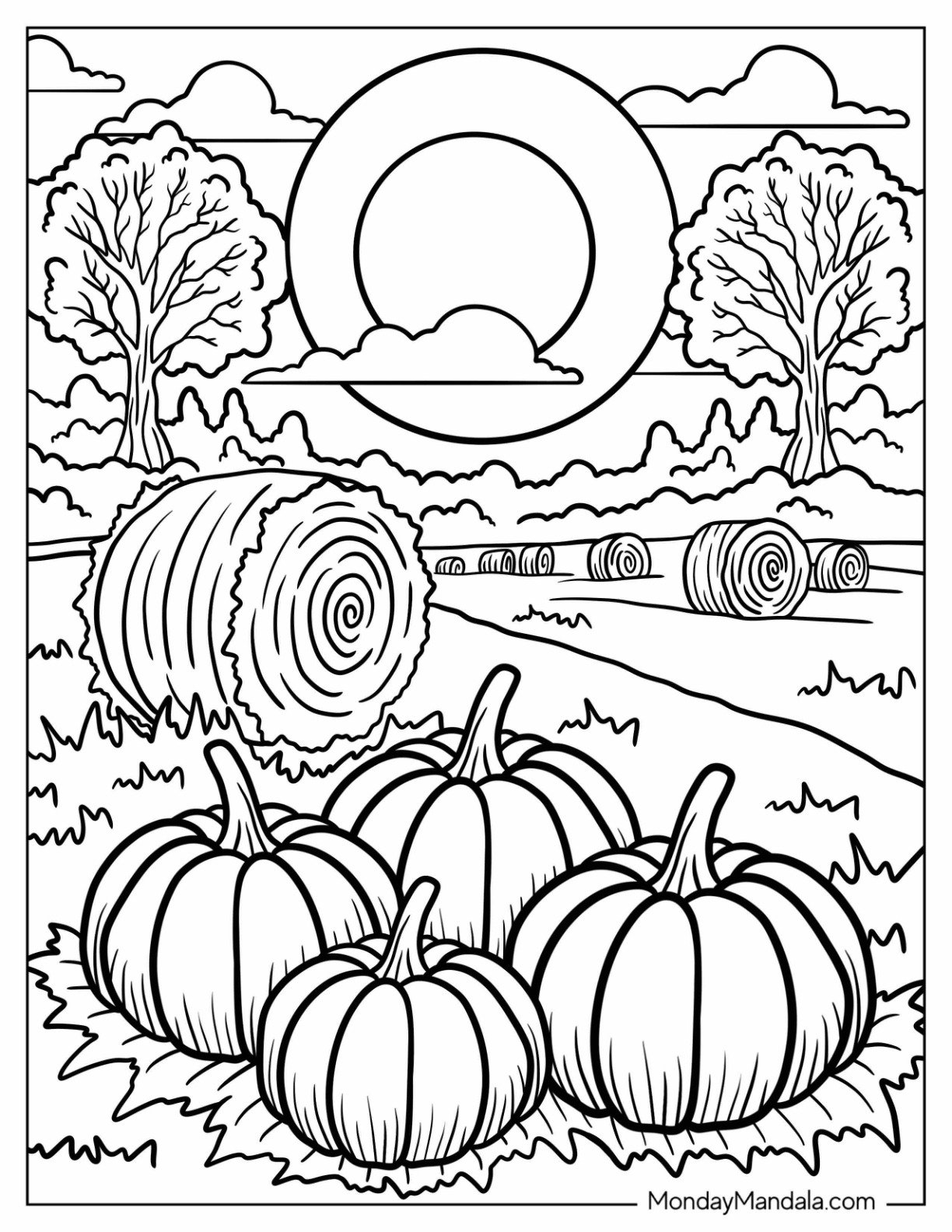 Pumpkin Patch and Hay Bales in a Sunny Autumn Field