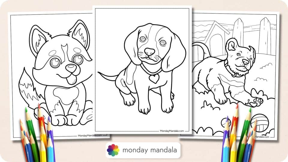 47 Puppy Coloring Pages (Free PDF Printables)
