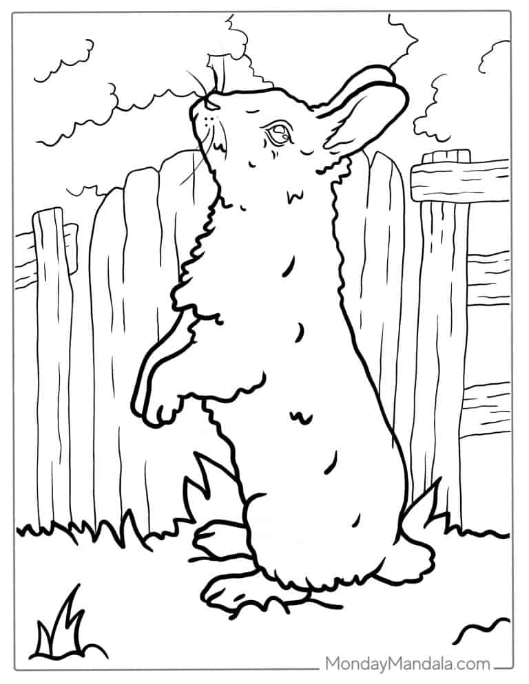 44 Rabbit Coloring Pages (Free PDF Printables)