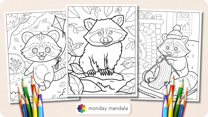 Raccoon Coloring Pages Featured Image v2