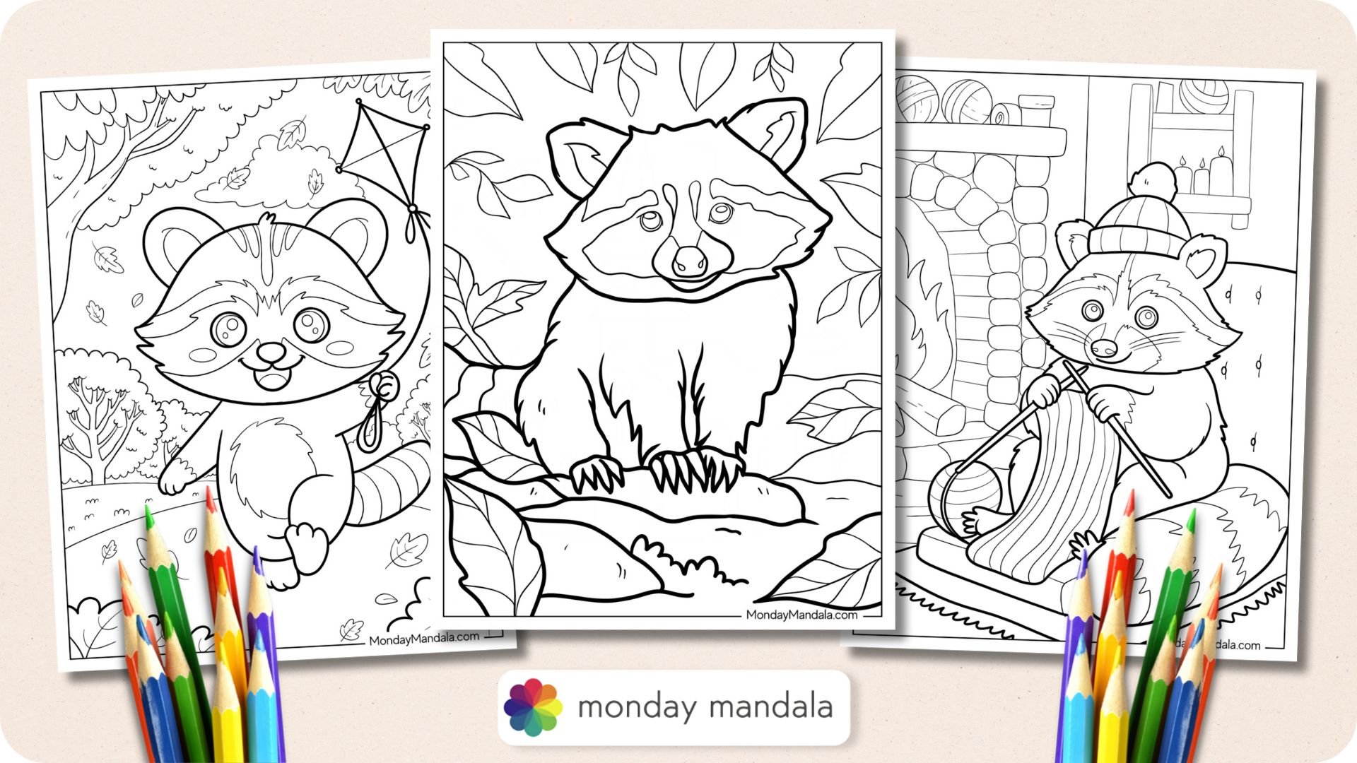 Raccoon Coloring Pages Featured Image v2
