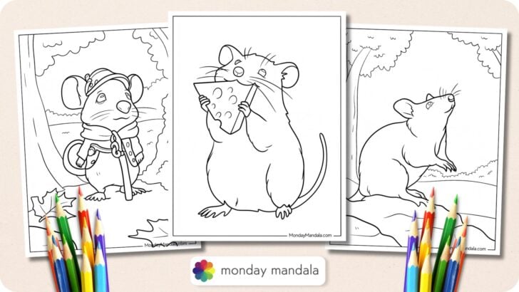 Rat Coloring Pages Featured Image