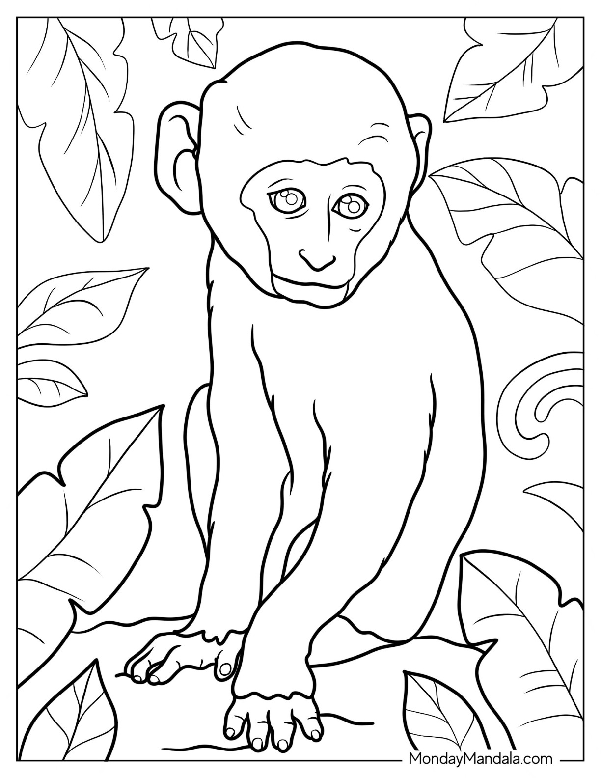 Monkey Coloring Pages Monkey Coloring Pages