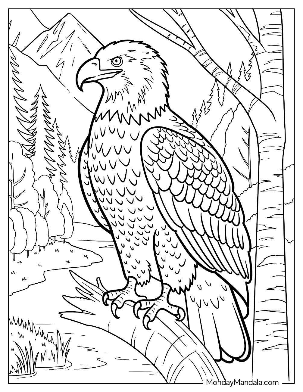 Realistic Bald Eagle Coloring Page Overlooking a River in a Forest
