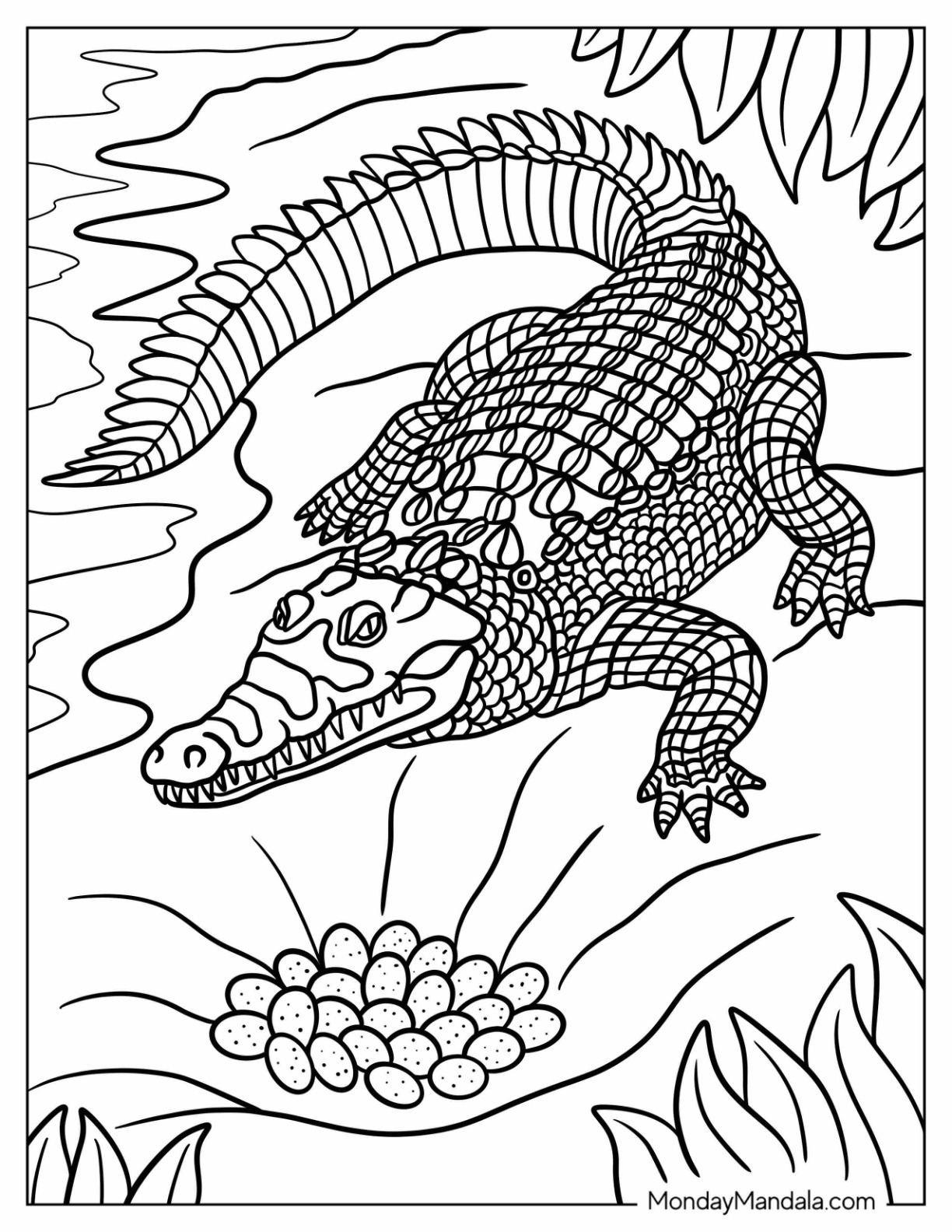 Realistic Crocodile Coloring Page at the Beach