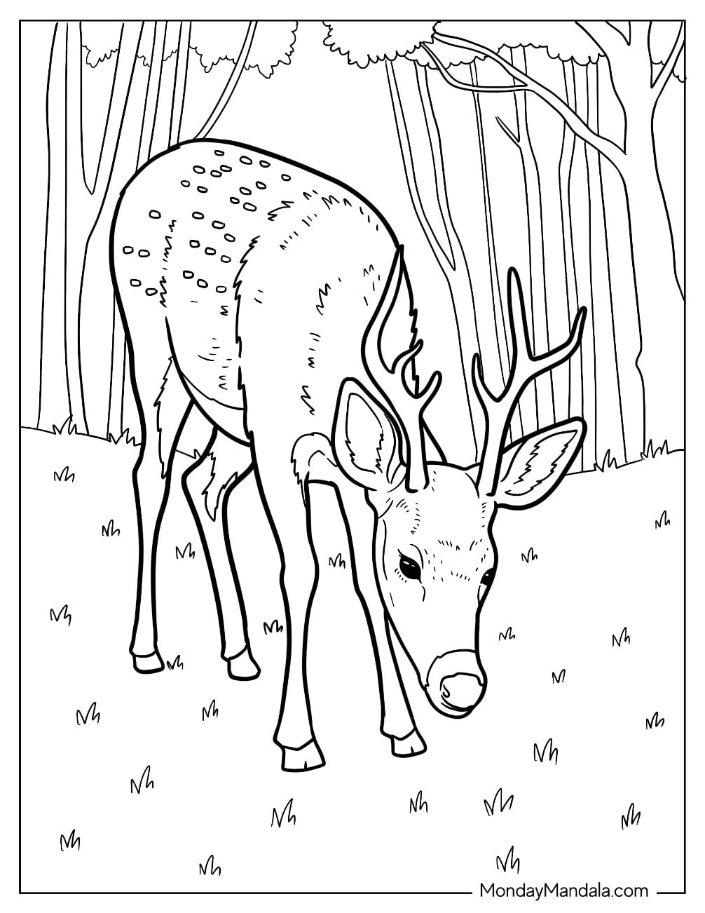 Realistic Deer Coloring Page in the Forest Eating Grass