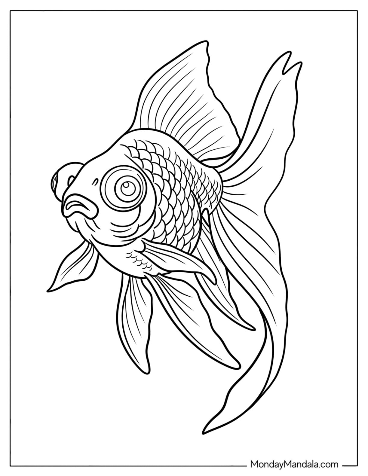 Realistic Goldfish Coloring Page with Flowing Fins