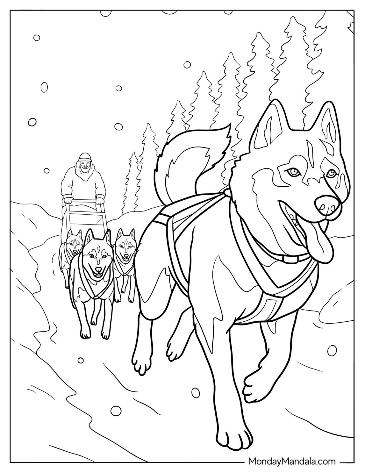 Realistic Husky Coloring Pages Sled Team in Winter