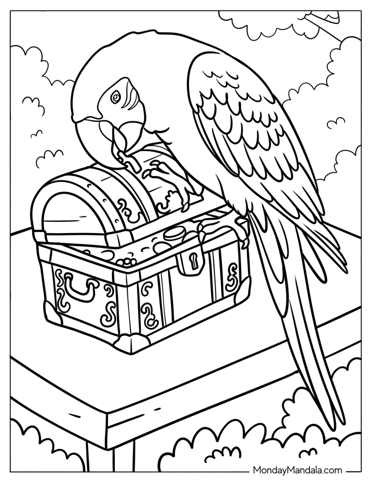 Realistic Macaw Parrot Finding a Treasure Chest Coloring Page