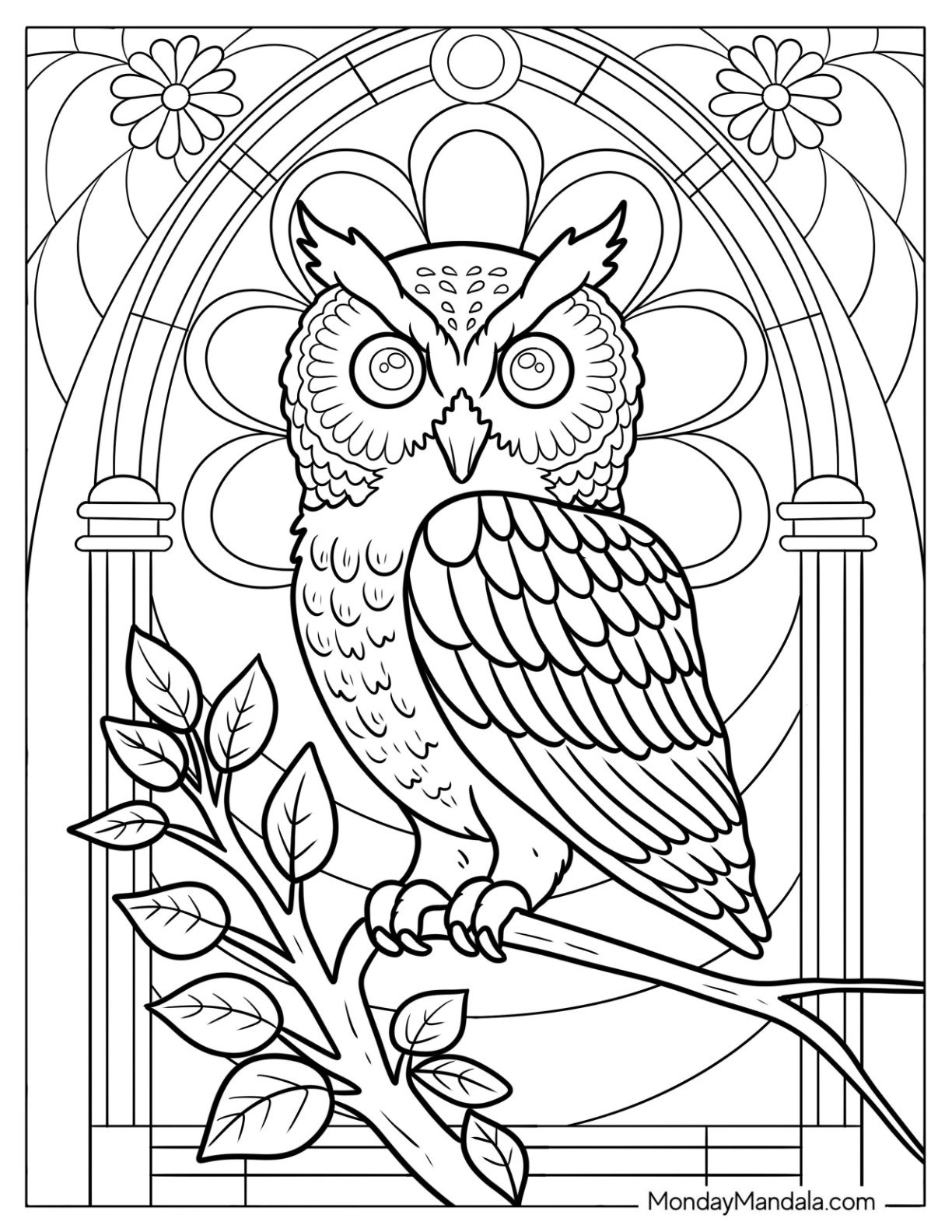 Realistic Owl Coloring Page Perched on a Tree Branch