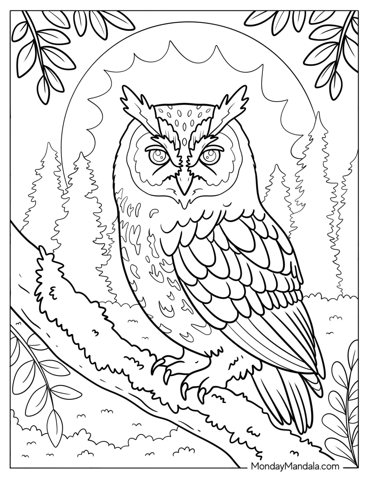 Realistic Owl Coloring Page in the Forest at Night