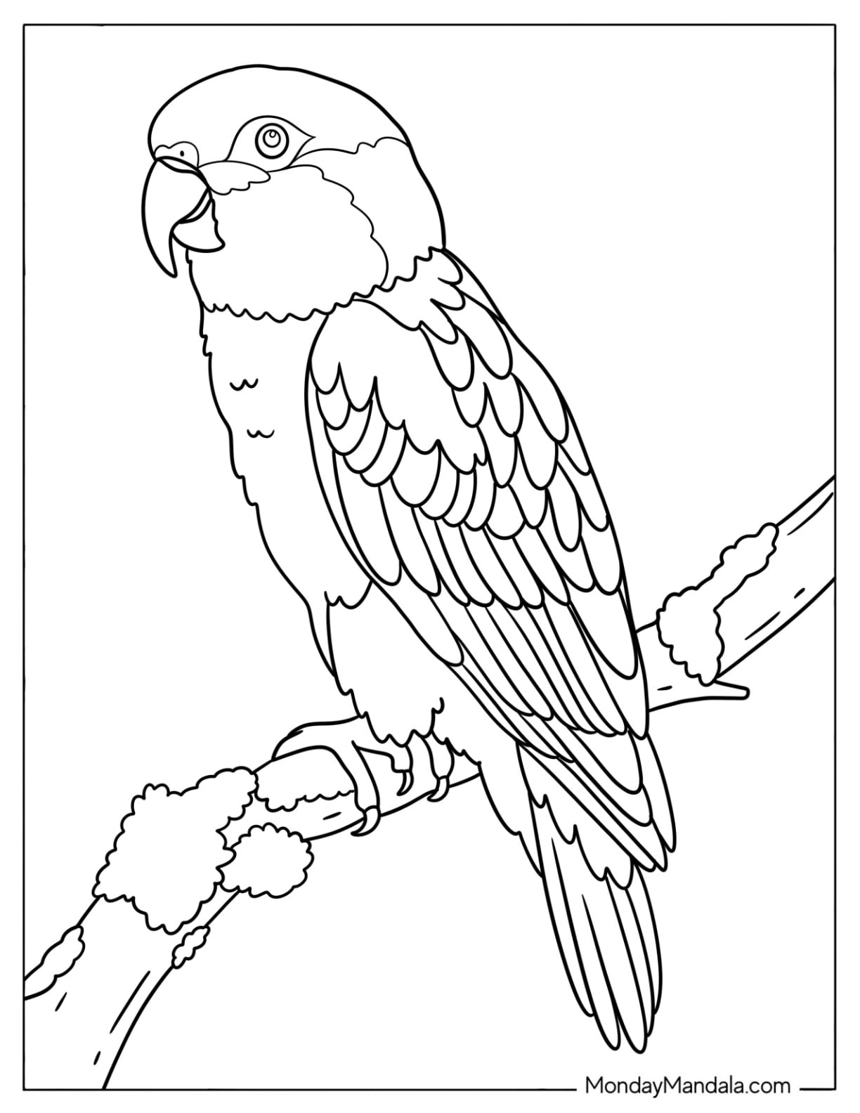 Realistic Parrot Perched on a Tree Branch Coloring Sheet