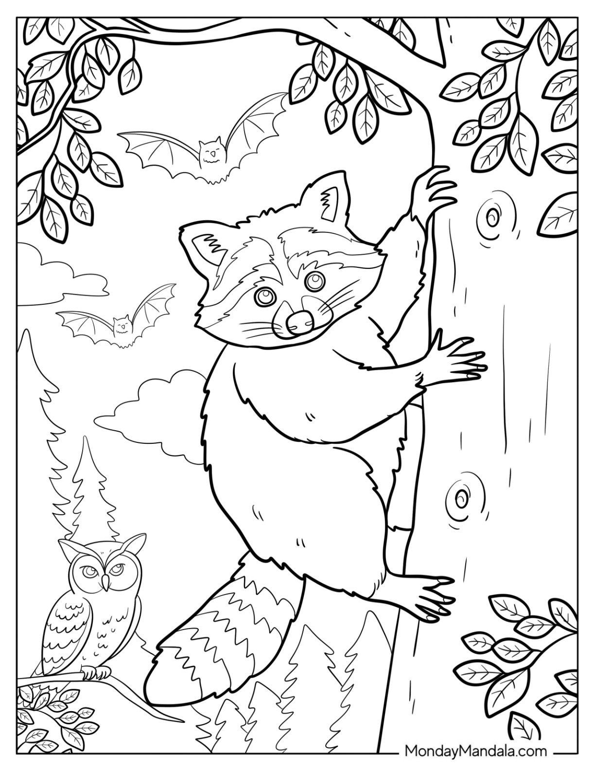 Realistic Raccoon Coloring Page Climbing Tree with Owl and Bats in the Background