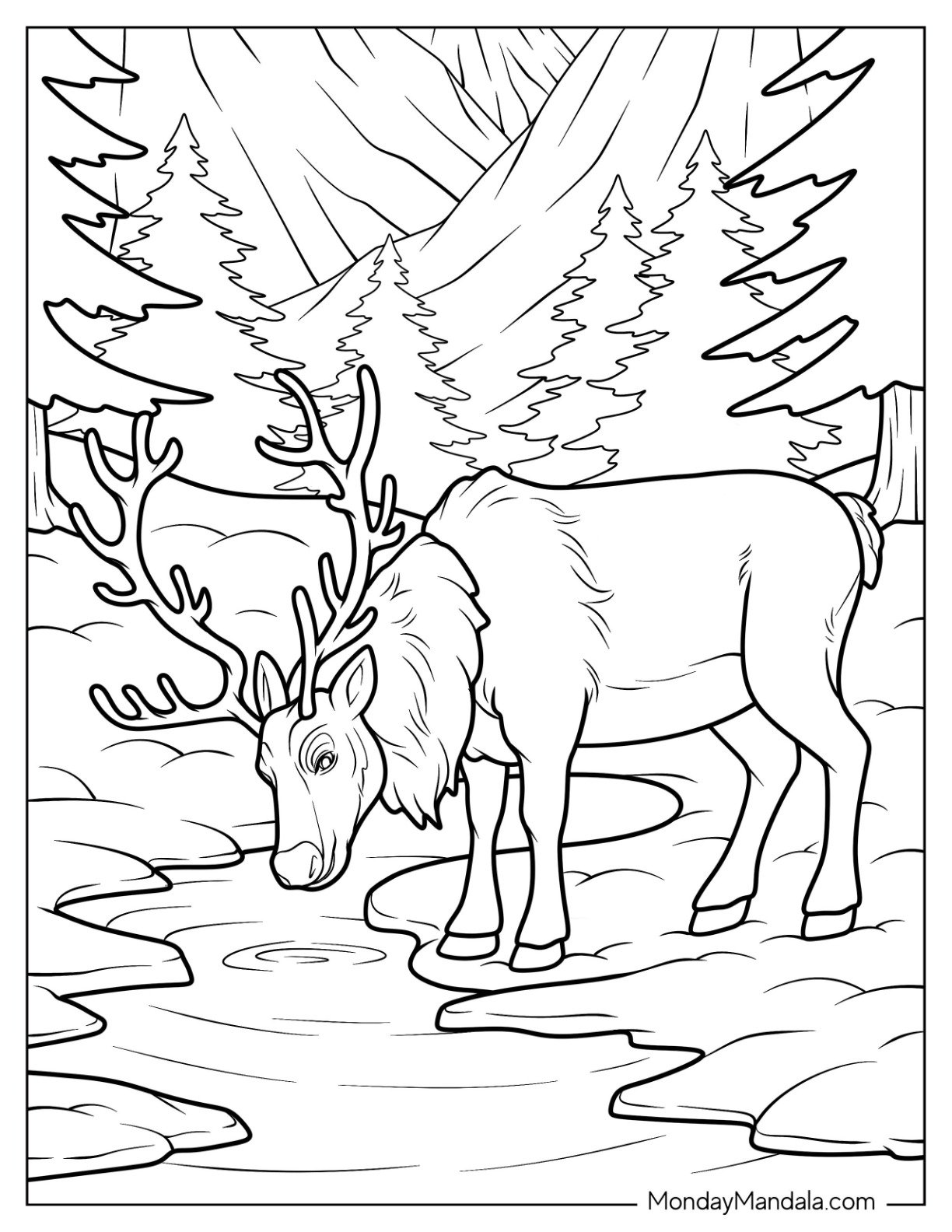 Realistic Reindeer Drinking Water from a Stream