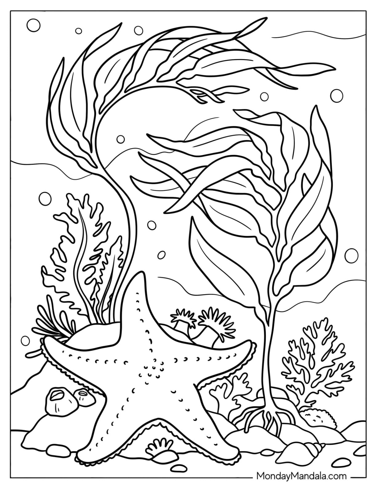 Realistic Starfish in a Reef Coloring Page