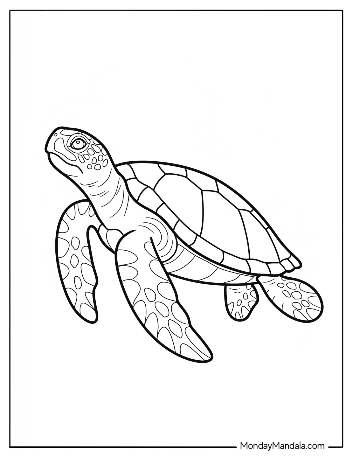 Realistic Turtle Coloring Page Swimming