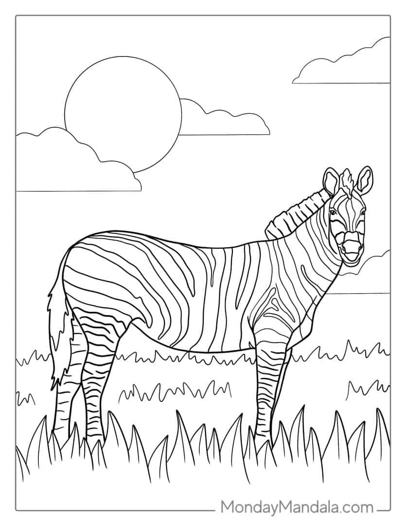 20 Zebra Coloring Pages (Free PDF Printables)
