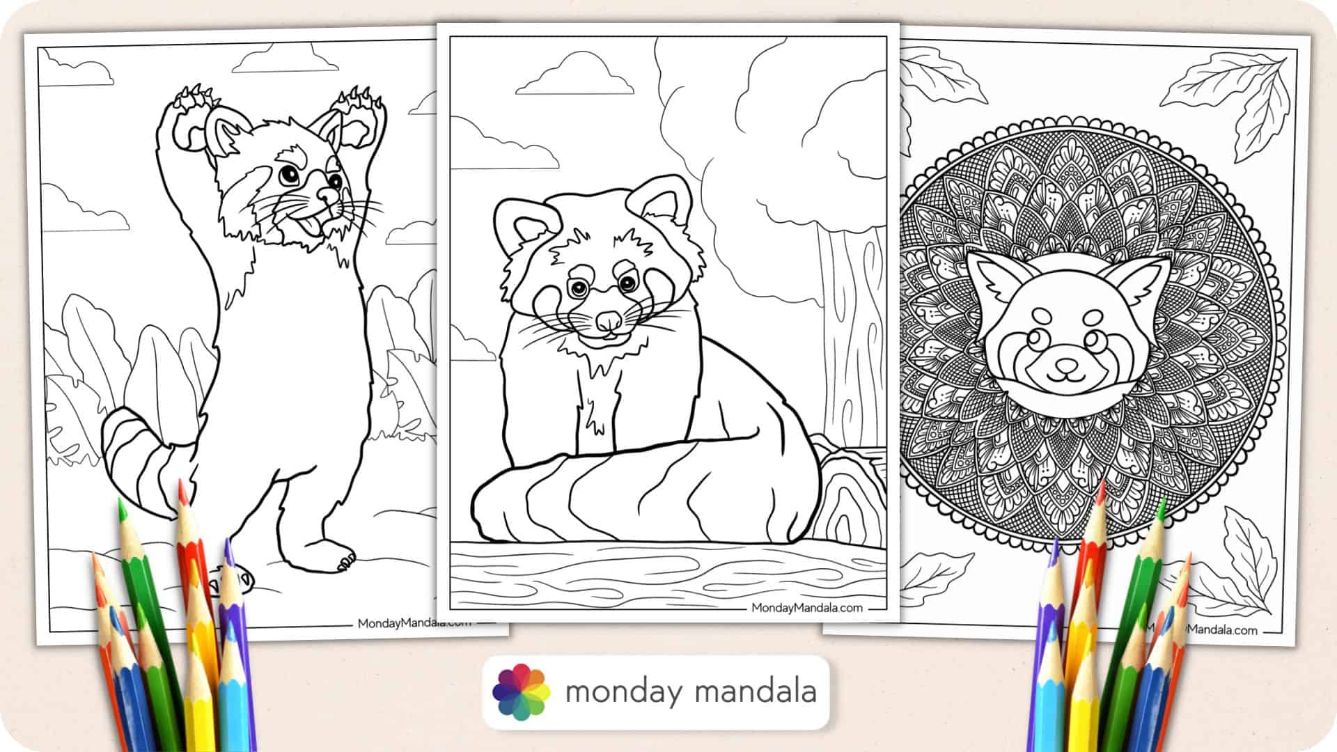 20 Red Panda Coloring Pages (Free PDF Printables)