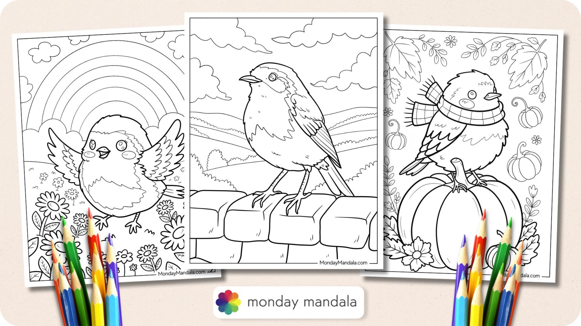 Robin Coloring Pages Featured Image