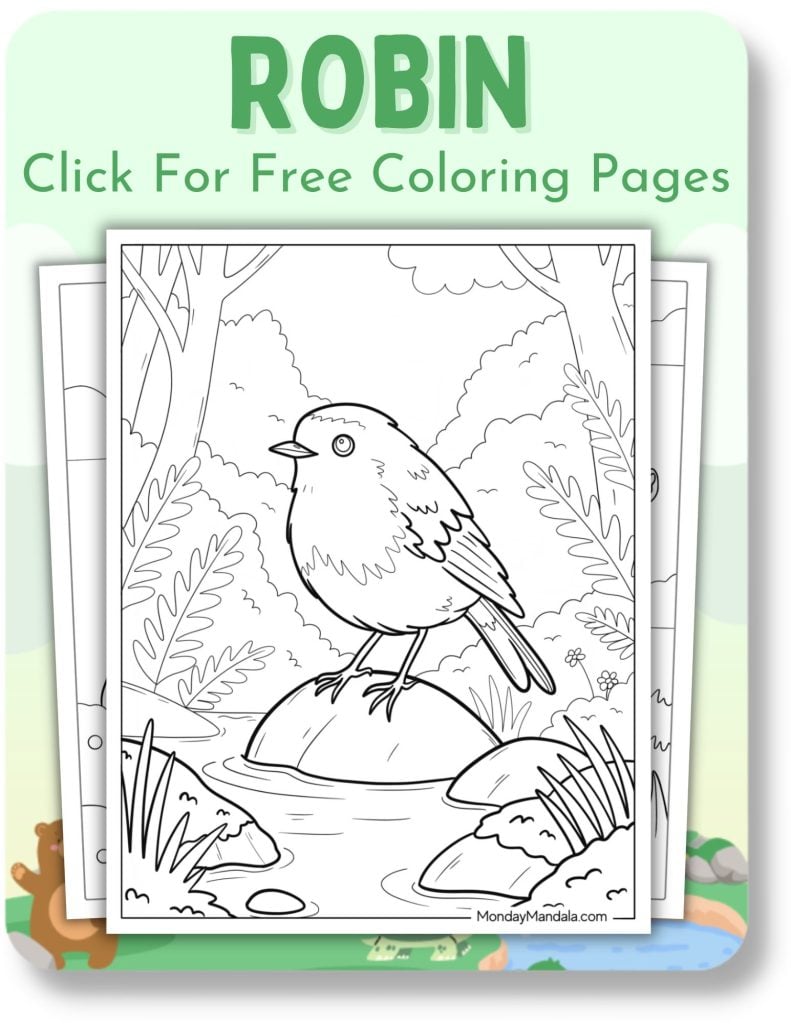 Robin Coloring Pages for Animals