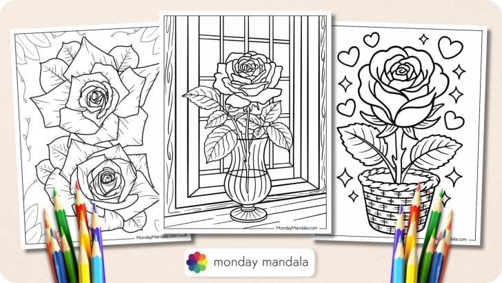 Rose Coloring Pages Featured Image v2