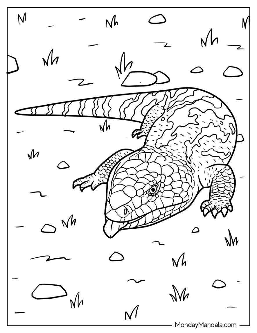 Blue Tongue Lizard Coloring Blue Tongue Lizard Coloring