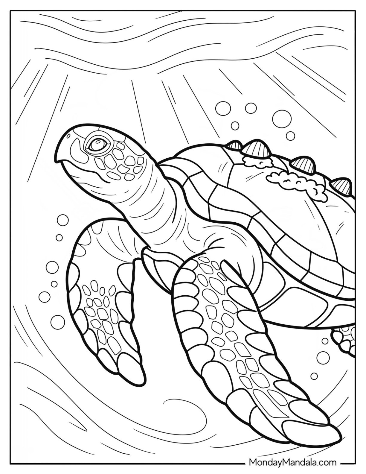 Sea Turtle Coloring Page Surrounded by Bubbles in the Water