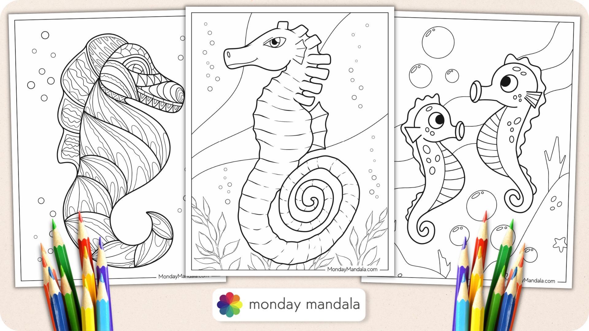 Seahorse Coloring Page Featured Image