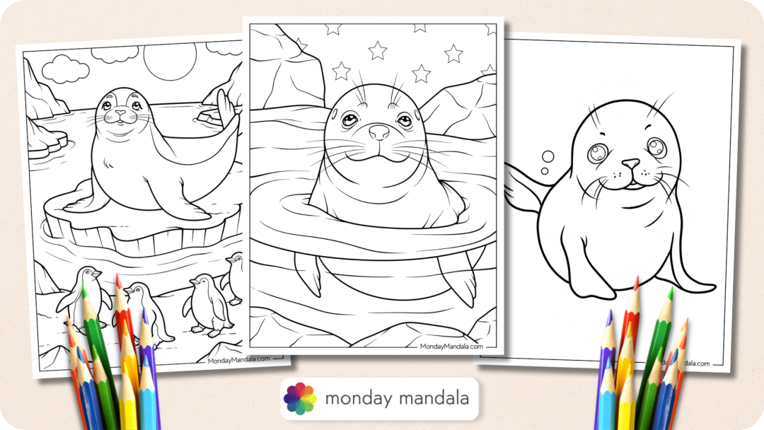 25 Seal Coloring Pages (Free PDF Printables)