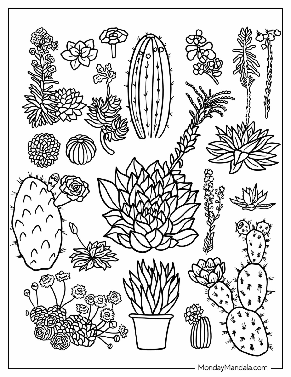 20 Succulent Coloring Pages Free PDF Printables 20 Succulent Coloring Pages Free PDF Printables