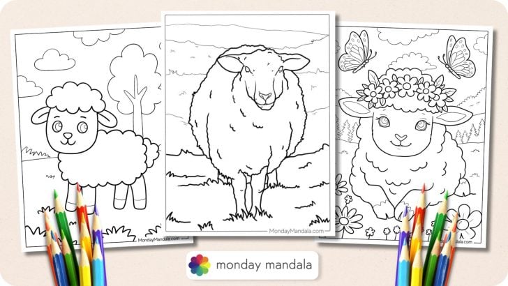 Sheep Coloring Pages Featured Image v2