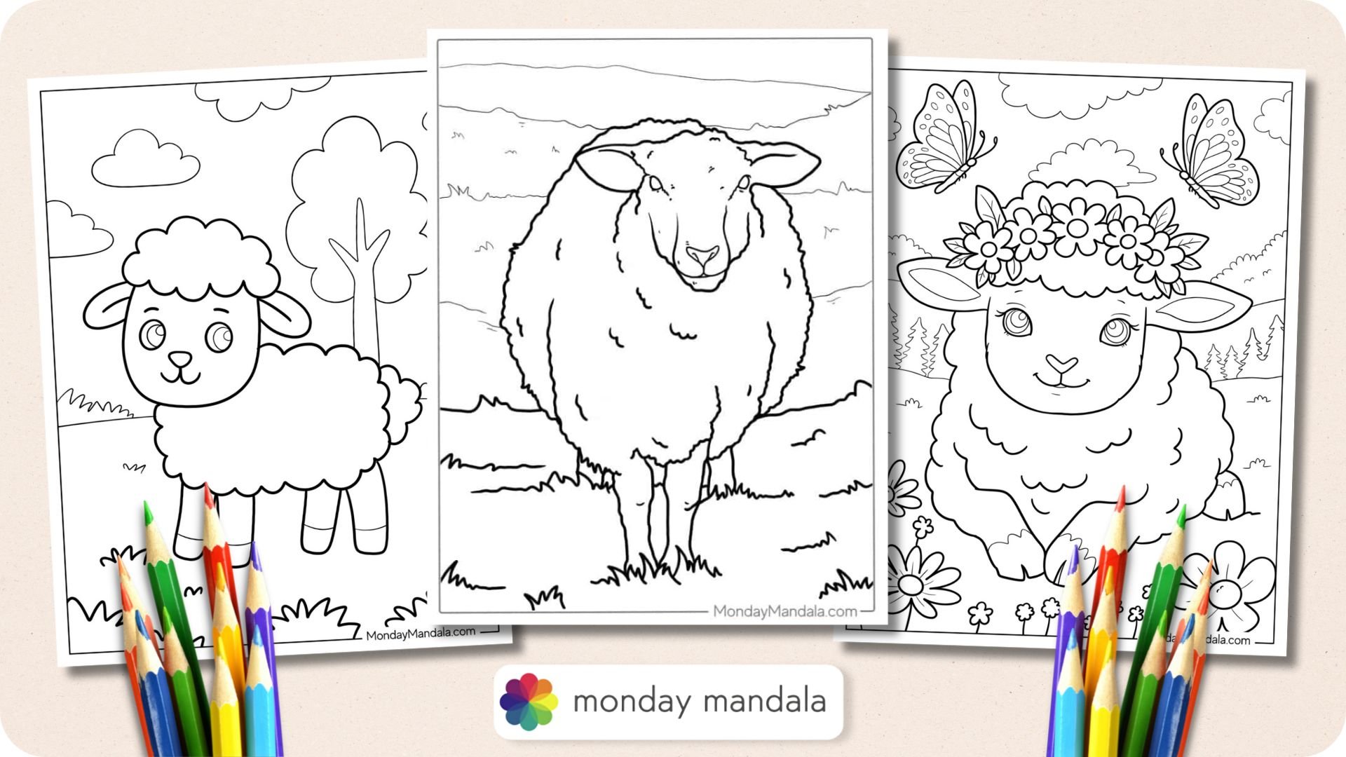 Sheep Coloring Pages Featured Image v2