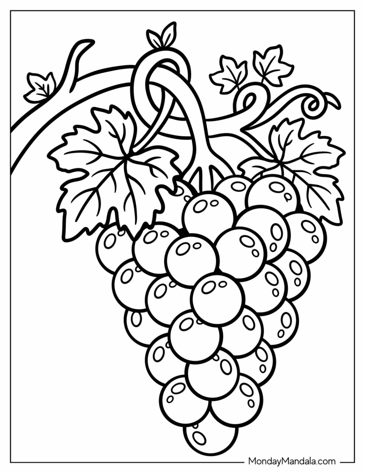 Shiny Fresh Grapes on the Vine Coloring Sheet for Kids