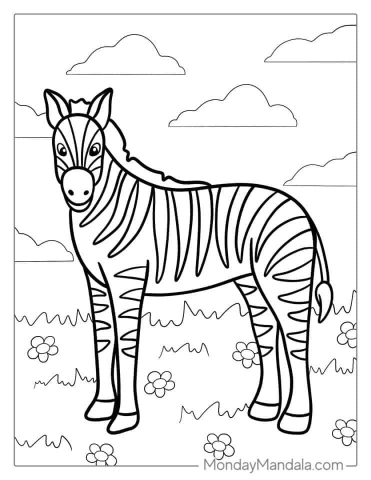 20 Zebra Coloring Pages (Free PDF Printables)