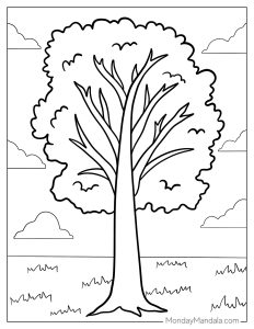 38 Tree Coloring Pages (Free PDF Printables)