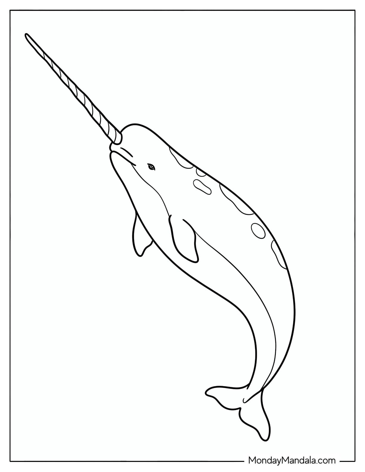 Simple Realistic Narwhal with Spots Coloring Page